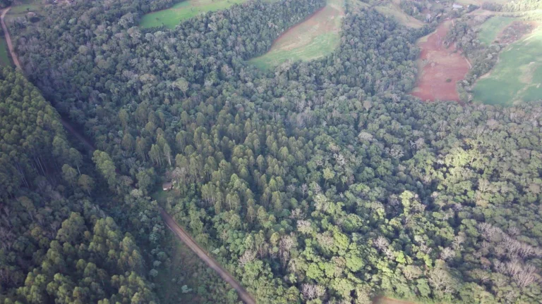Imagem Terreno para Venda em Concórdia, Interior
