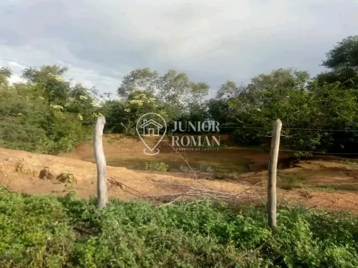 Imagem FAZENDA - 91,5 HECTARES - CRISTOPOLIS/BA
