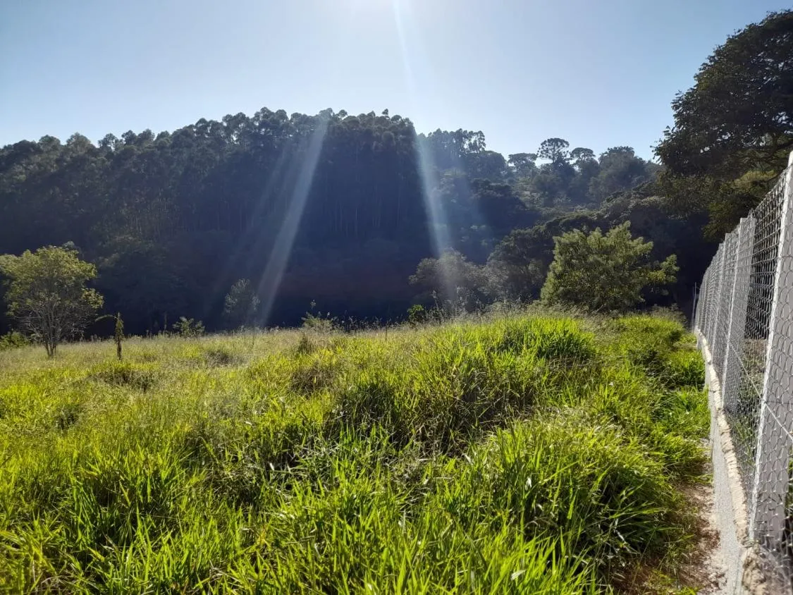 Imagem TERRENO - BAIRRO DA RESSACA - IBIUNA