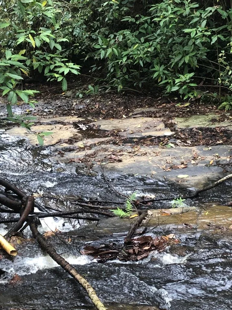 Imagem Chácara à venda 1 Quarto, 57596M², Pinga, Pindamonhangaba - SP