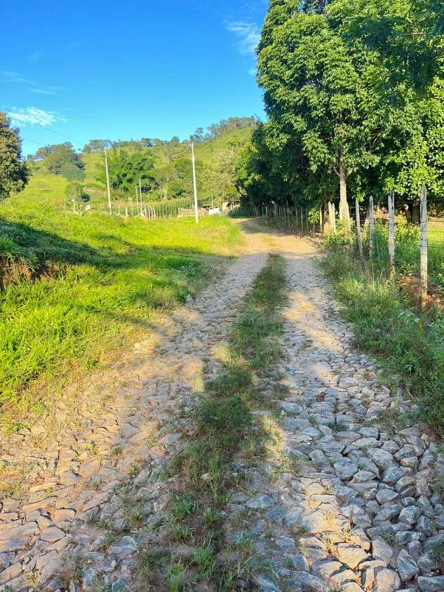 Imagem Vendo um excelente sítio em Crucilândia/MG , área total de 3 hectares (30.000 m²)