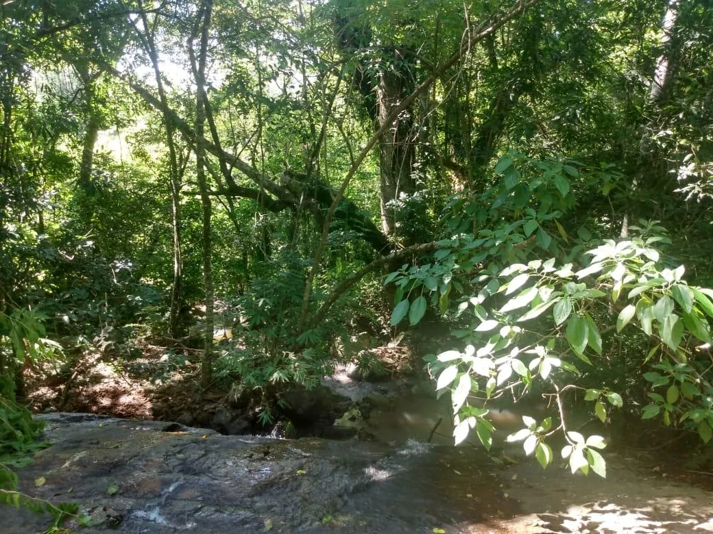 Imagem Chácara para venda, bairro Voluntário Baixo em Igrejinha/RS.