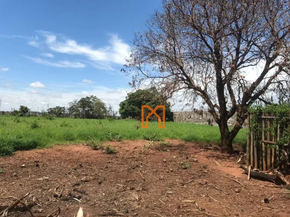 Terreno à venda, 2500 m² por R$ 600.000,00 - Alto Alegre - Bady Bassitt/SP