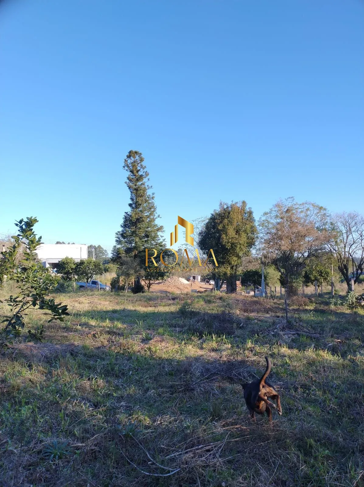Imagem Terreno à venda Parque Serrano I Itaara/RS