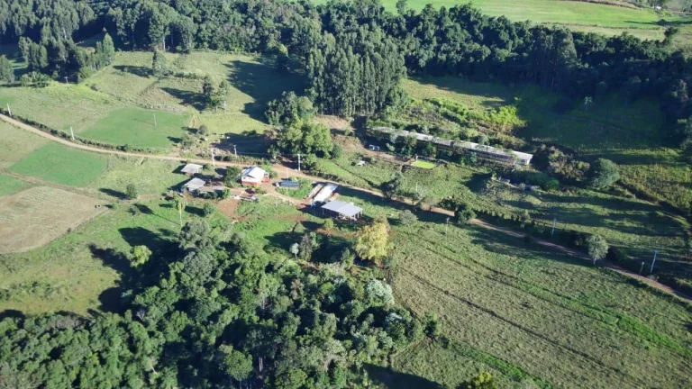 Imagem Área Agrícola para Venda em Concórdia, Interior