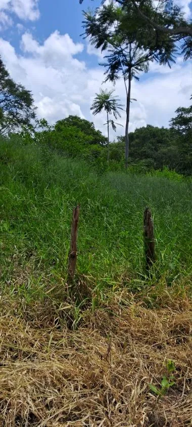 Imagem Sítio a venda de 8,6 hectares (86.000 m²) em Brumadinho/MG,