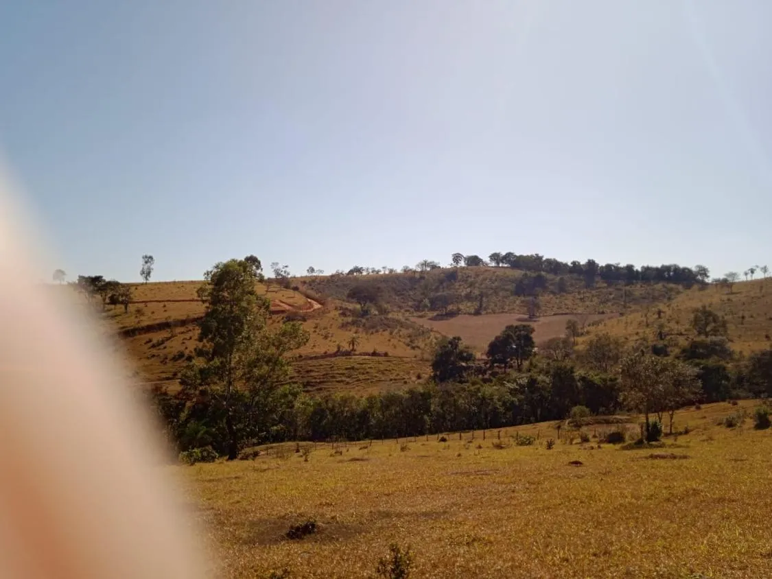 Imagem Vendo Excelente Fazenda em Bonfim/MG 90 hectares de terra