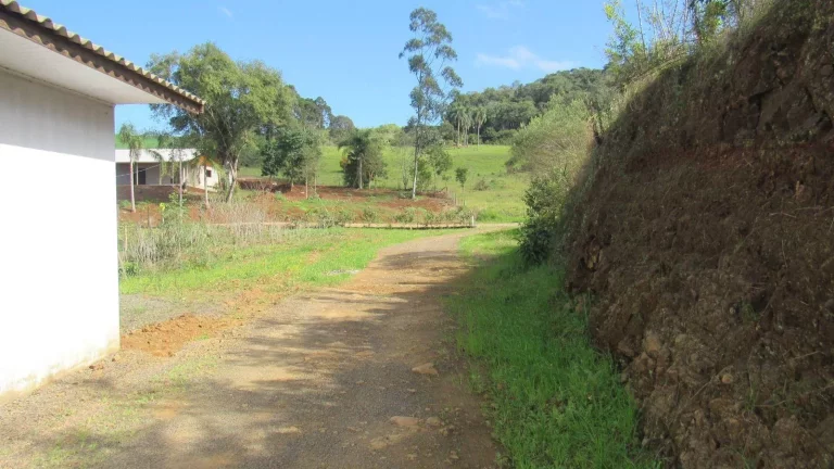 Imagem Casa para Venda em Concórdia, Santa Rita, 3 dormitórios, 2 banheiros