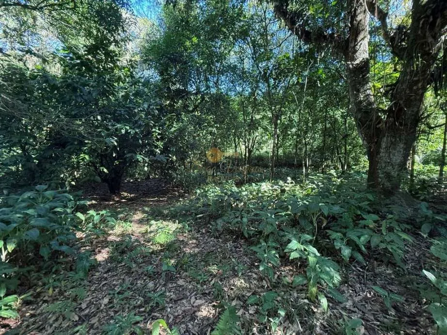Imagem Sítio para Venda em Guapimirim / RJ no bairro Parque Nossa Senhora da Ajuda