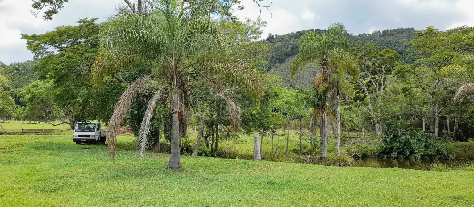 Imagem Sítio à venda em Souza Lima, Poços de Caldas