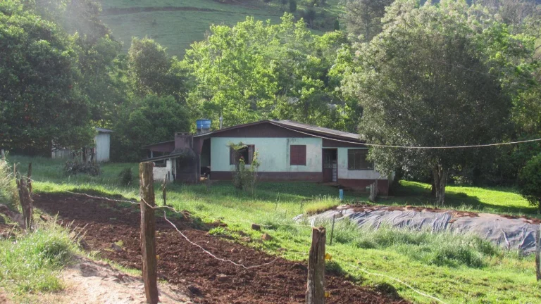 Imagem Granja para Venda em Arabuta, Rural
