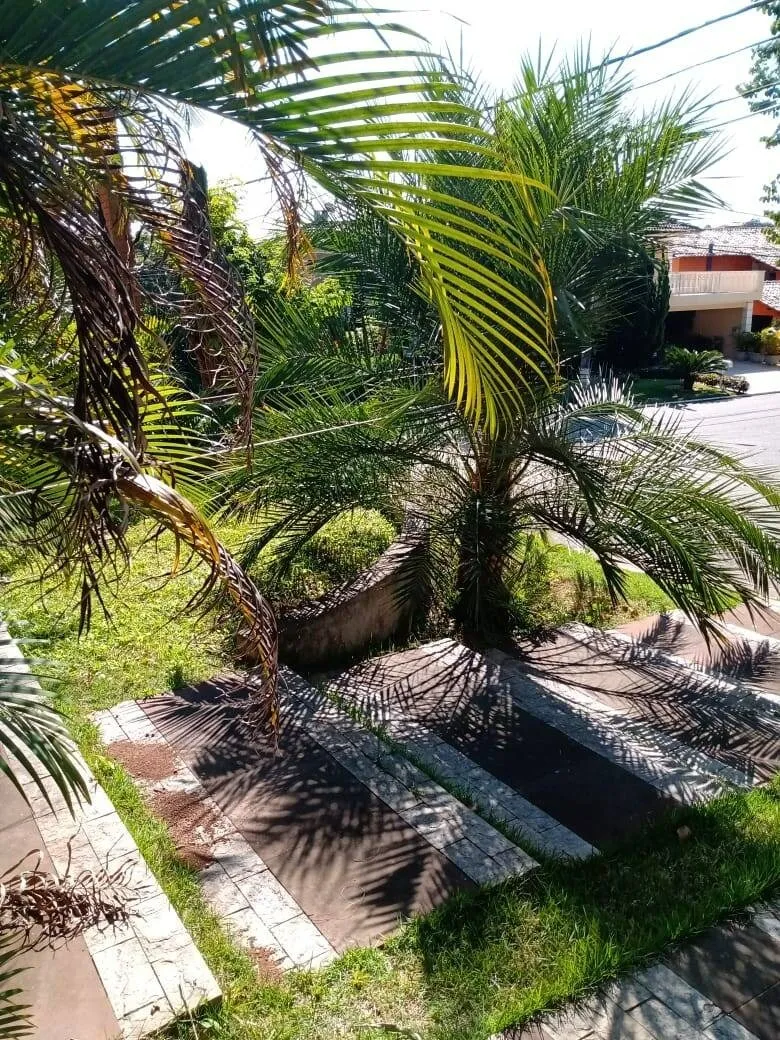 Imagem Linda Casa No Alphaville Residencial 09 - Santana de Parnaíba