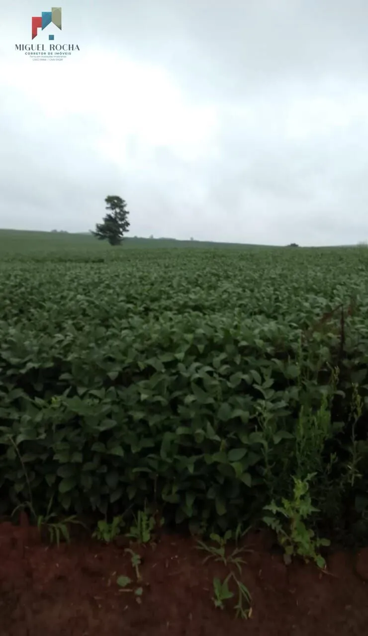 Imagem Fazenda região Itapetininga SP