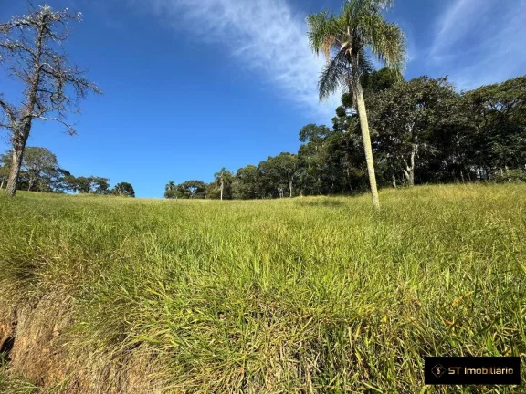 Imagem Área à venda em Terra Preta Mairiporã/SP - 48.000m² Próxima à Rodovia!