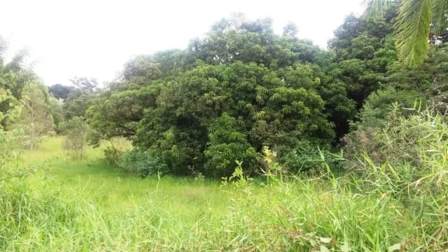 Imagem Chácara à venda 5200M², Cidade Nova, Pindamonhangaba - SP
