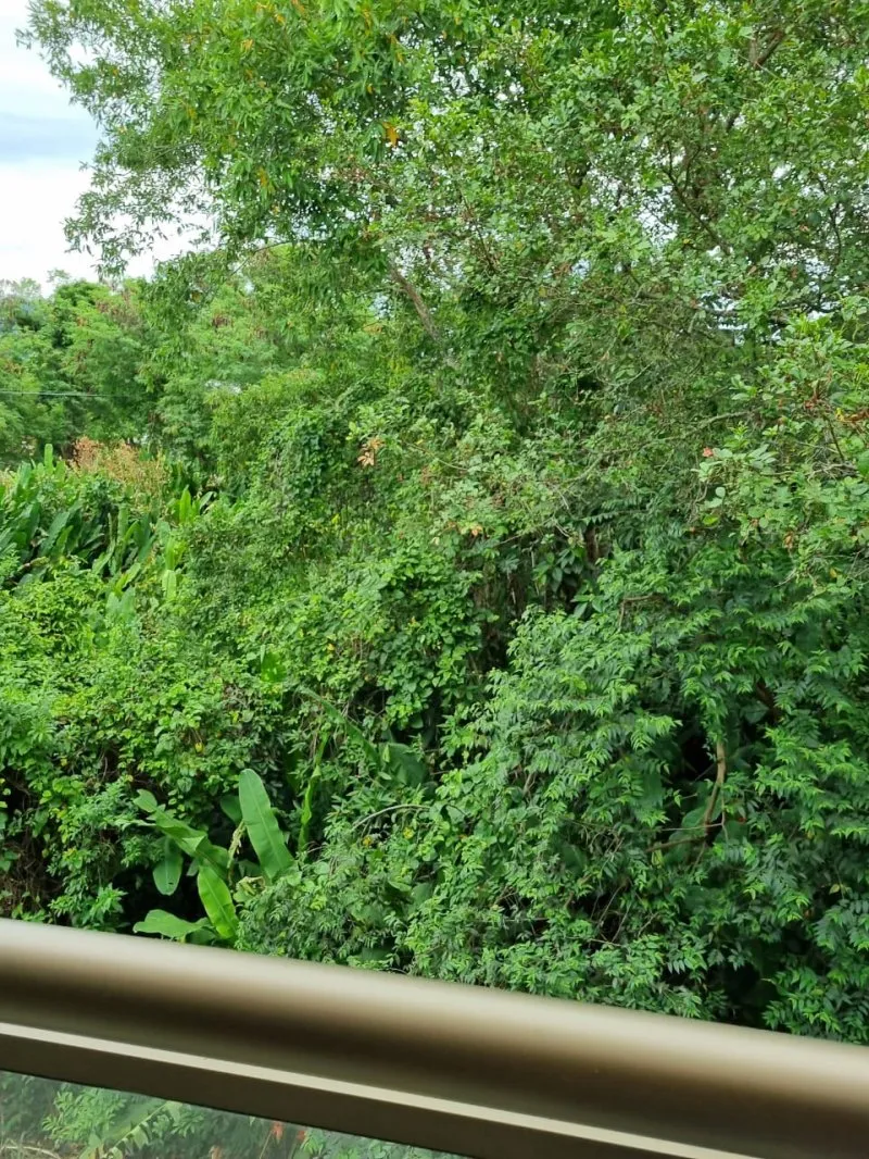Imagem Cobertura a Venda no bairro Recreio dos Bandeirantes - Rio de Janeiro, RJ