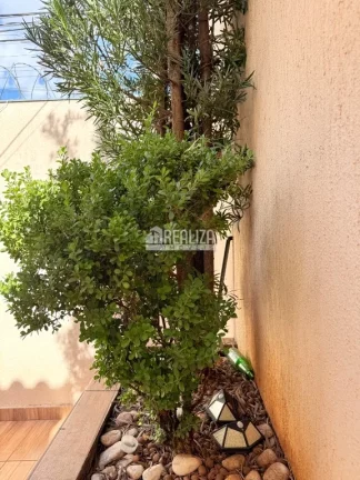 Imagem Casa para Locação no Bairro Cidade Nova, Uberaba