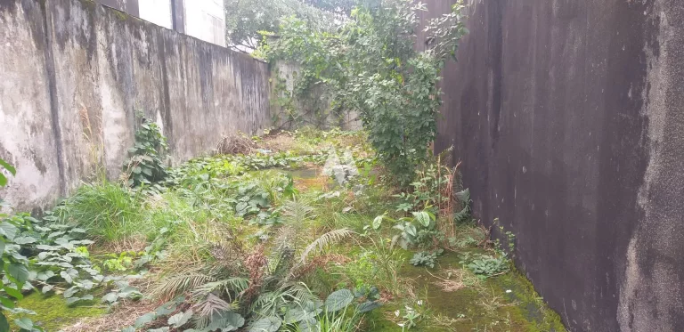 Imagem Pavilhão/Galpão à venda no bairro Macuco - Santos/SP