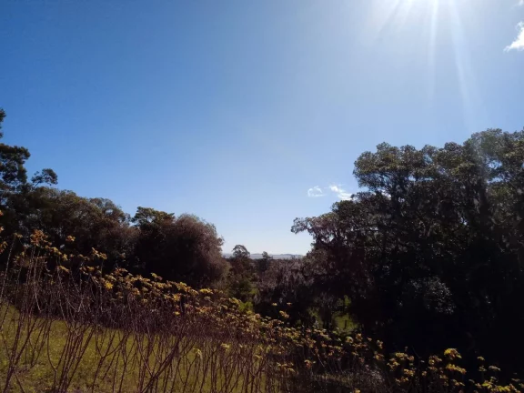 Imagem INVESTIDORES!!! Sítio com 8000m², entre as Praias de Itapuã e das Pombas