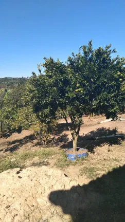 Imagem Terreno à Venda, 14.000 m² em Parque Recanto Mônica - Itaquaquecetuba