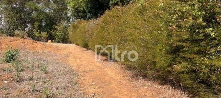 Imagem Terreno à venda, 1630 m² por R$ 160.000,00 - Ponte Alta - Itajubá/MG