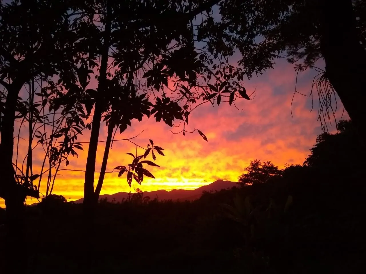 Imagem Chácara à venda 4 Quartos, 55000M², Bom Sucesso, Pindamonhangaba - SP