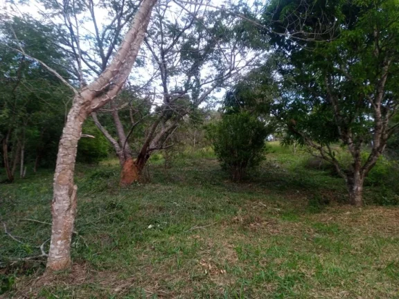 Imagem Chácara no Paraíso: Seu Refúgio em Cabreúva, Bairro Bananal