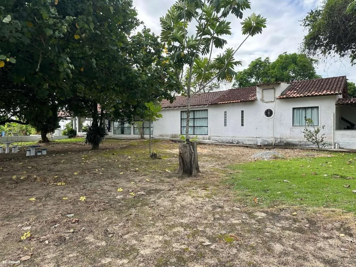 Imagem Sítio / Chácara para Venda em Saquarema, Bicuíba (Bacaxá), 4 dormitórios, 1 suíte, 2 banheiros, 4 vagas