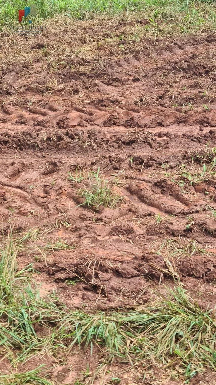 Imagem Fazenda região de Araraquara SP