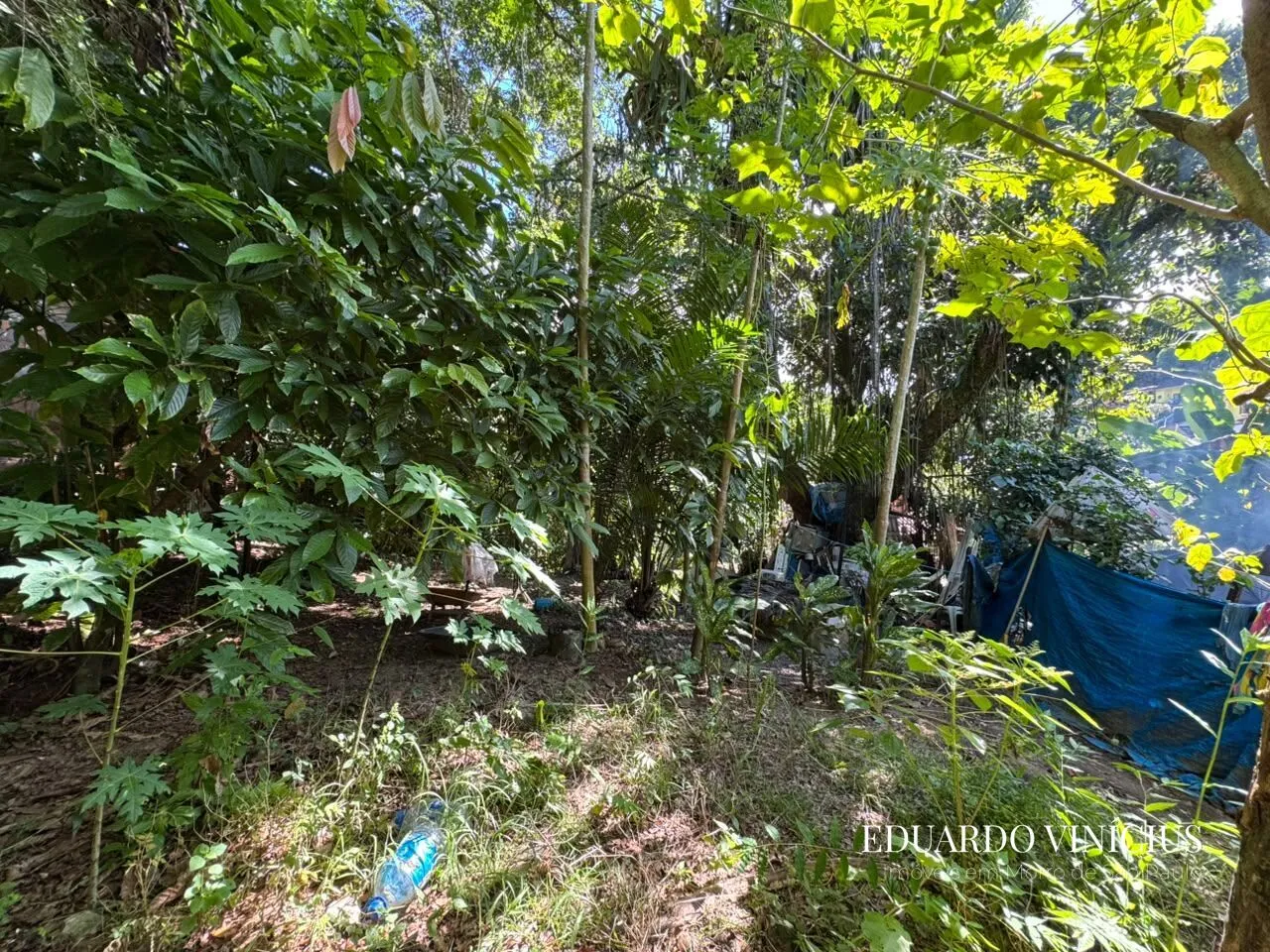 Imagem Terreno com 600m² À Venda na Fonte Grande em Morro de São Paulo