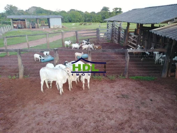 Imagem Fazenda de Oportunidade com 1.443 Hectares em Cocalinho MT