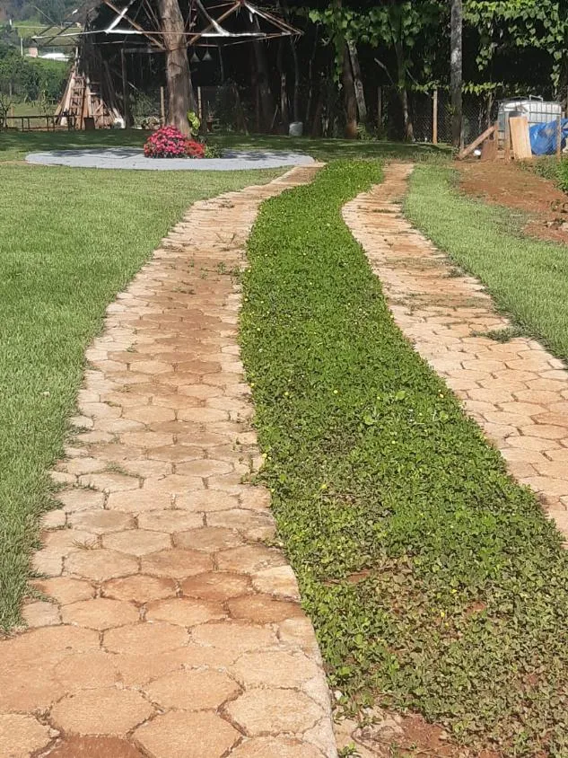 Imagem Vendo uma linda chácara em Carmópolis de Minas com 2.000 m² de área.