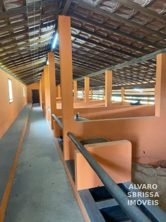 Imagem Sítio com 6 dormitórios à venda, 108.900 m² Bairro Itaim - Itu/SP