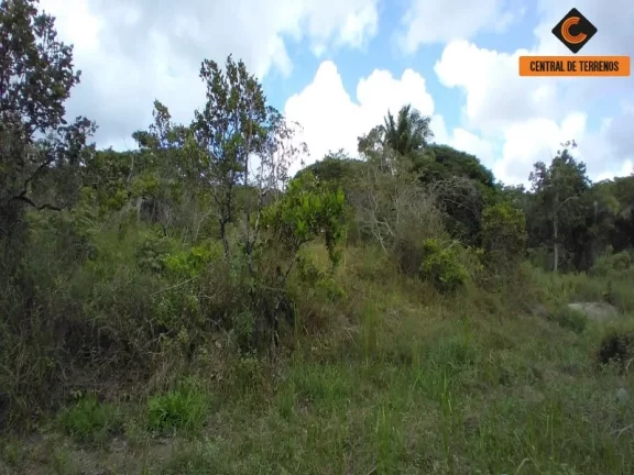 Imagem TERRENO NA VIA PARAFUSO