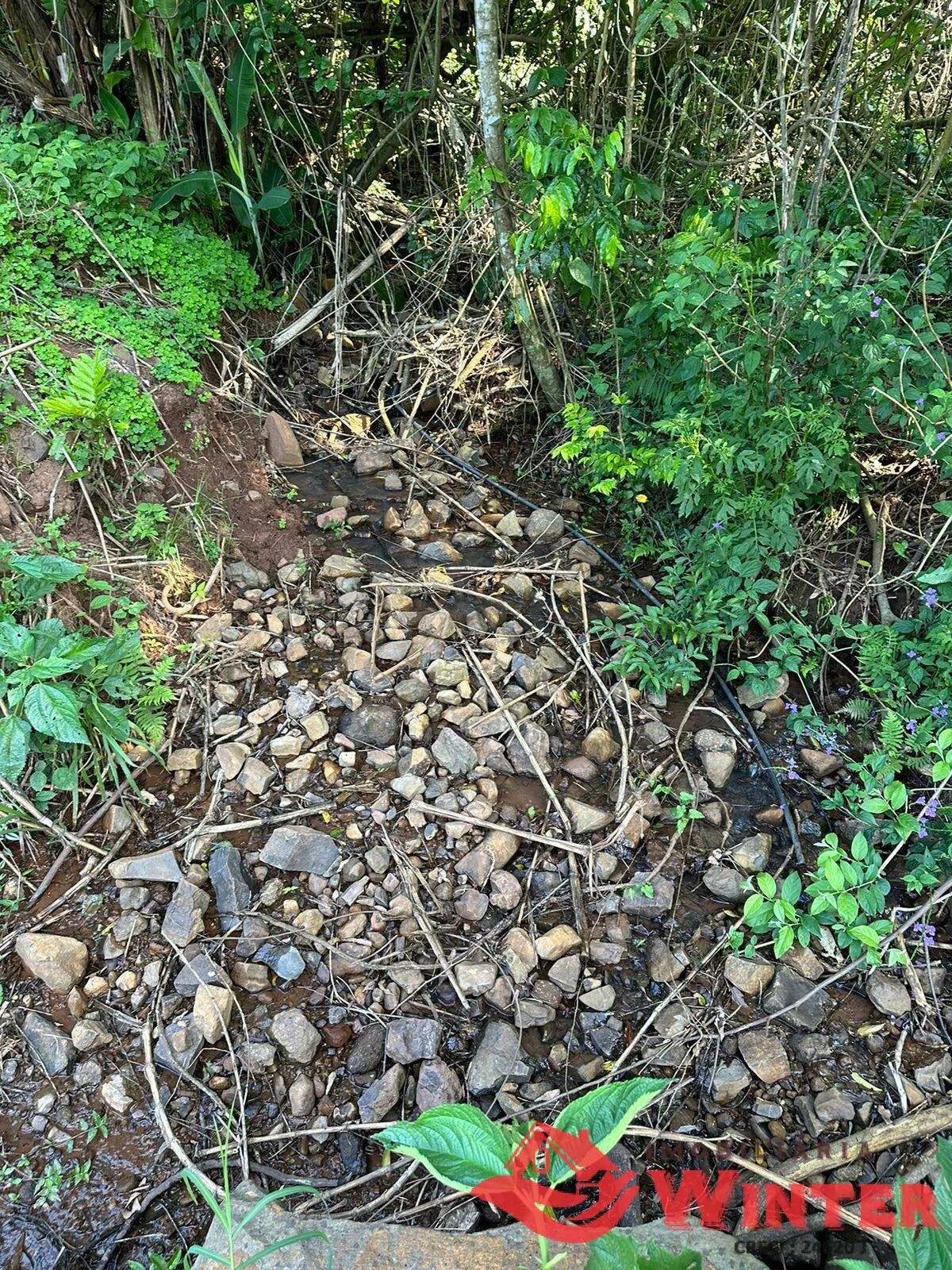 Imagem Área de terras com 10 hectares em Linha Nova
