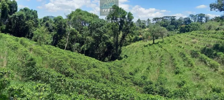 Imagem Terreno no Bairro da Lagoa - Oportunidade Única!