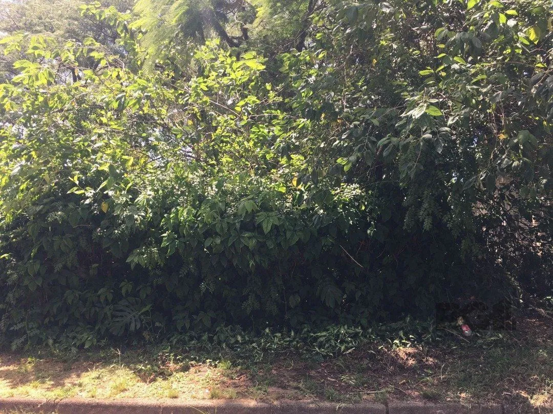 Imagem Terreno Setimo Ceu.