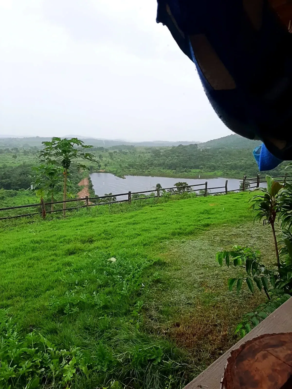 Imagem Fazenda à Venda, 600 HA em Floresta do Araguaia - Floresta do Araguaia