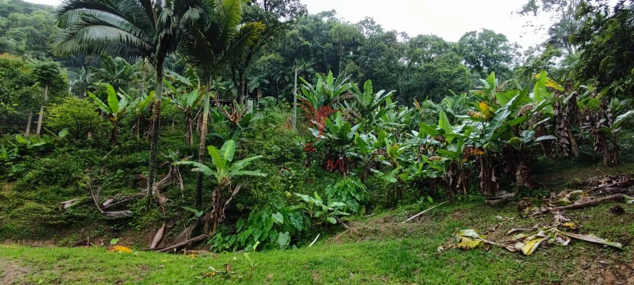 Imagem SITIO EM BLUMENAU, DOCUMENTAÇÃO TUDO OK ESTRUTURA DA CASA COM 8 CAMINHOES DE CONCRETO