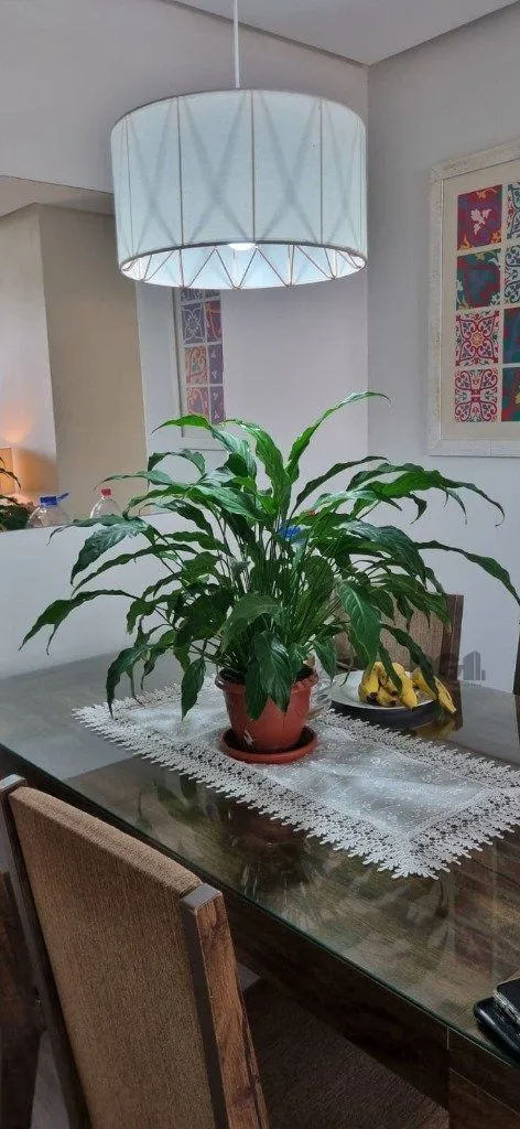 Imagem Apartamento em Jardim Itu