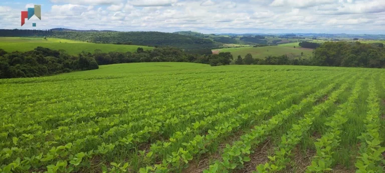 Imagem Sítio a venda em Itararé SP