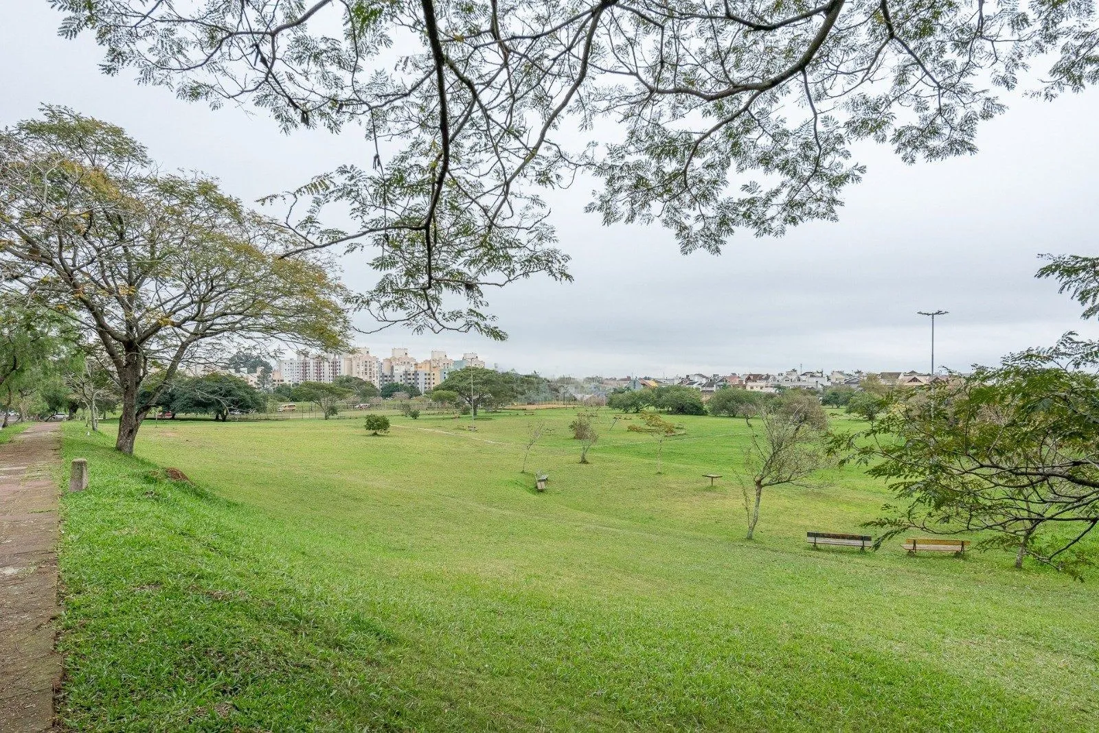 Imagem Casa com 3 dormitórios, suíte, pátio com spa, 3 vagas, Rua do Pampa - Ecoville