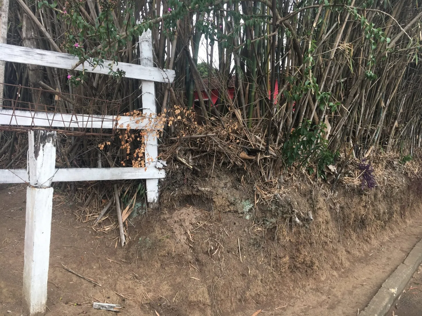 Imagem Terreno à venda 9 Quartos, 29773.51M², Bela Vista, Pindamonhangaba - SP