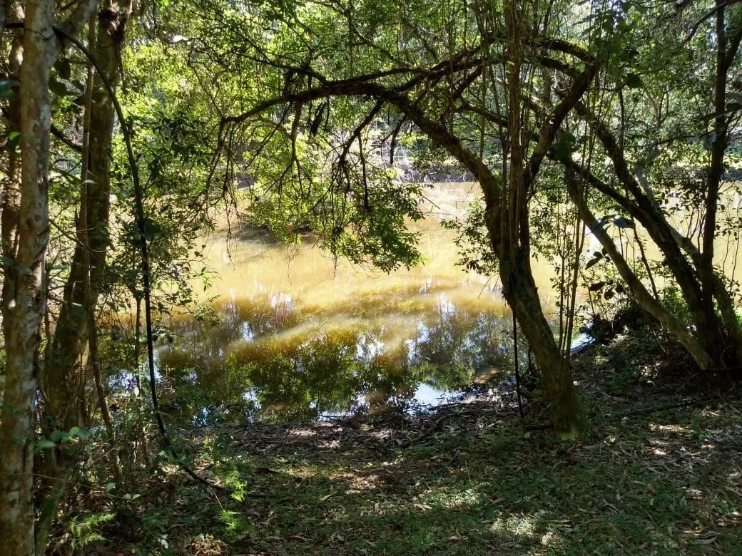 Imagem Sítio para Venda - 240m², 4 dormitórios, Itapuã