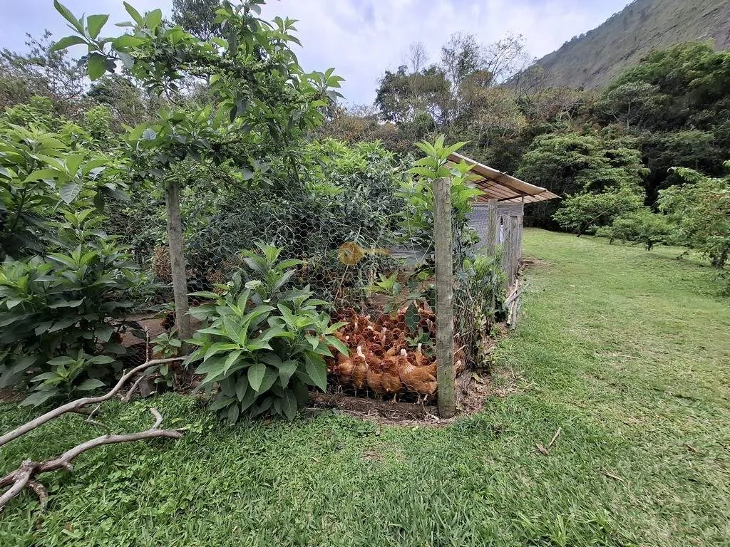 Imagem Sítio para Venda em Teresópolis / RJ no bairro Santa Rita