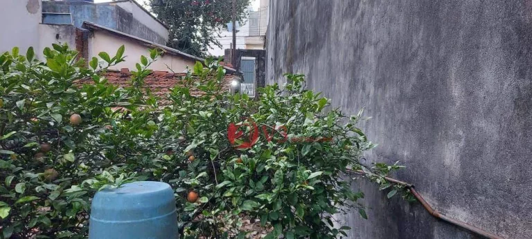 Imagem Terreno à venda, 150 m por R$ 400.000,00 - Cidade Patriarca - São Paulo/SP