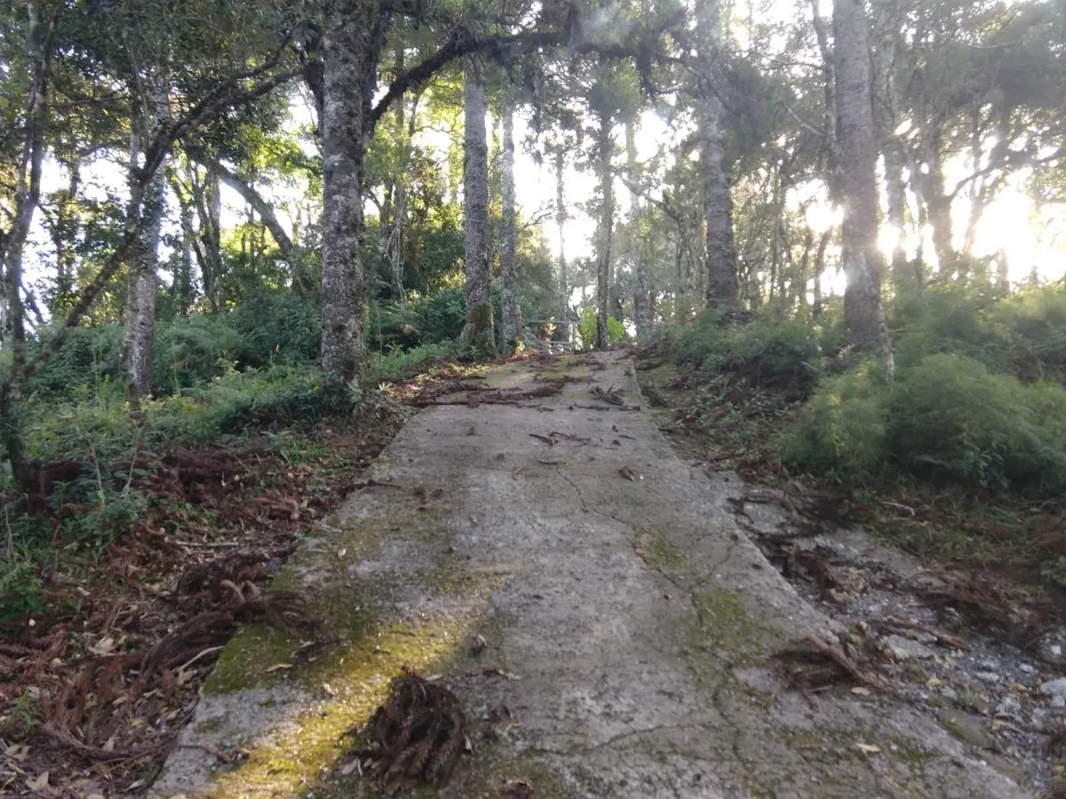 Imagem Terreno para Venda em São Francisco de Paula / RS