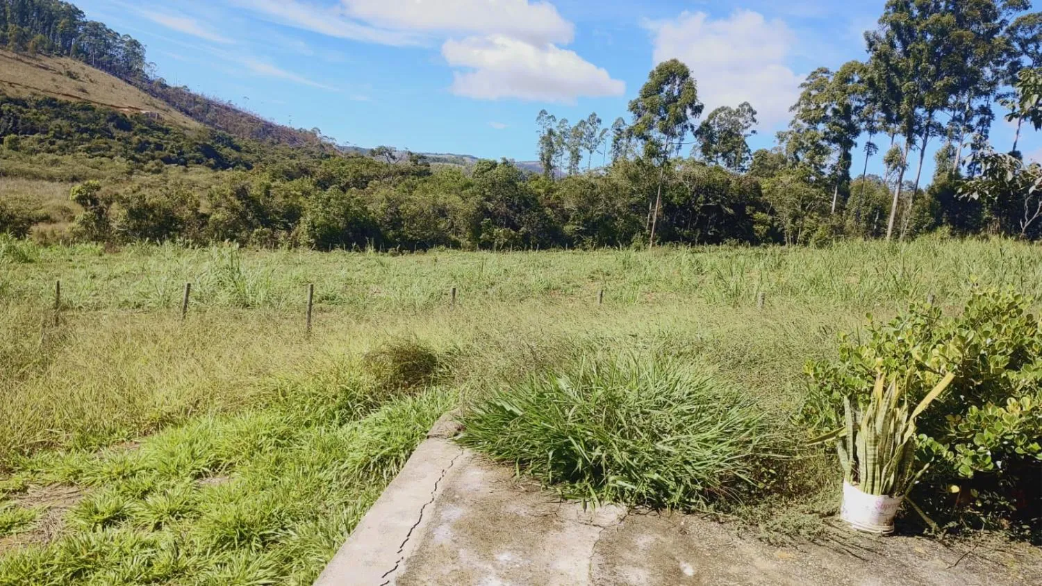 Imagem Excelente Terreno à Venda em Desterro de Entre Rios: 15 Hectares Totalmente Plano