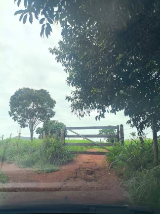 Imagem Chácara à venda na Vargem Grande em Bela Vista de Goiás/GO