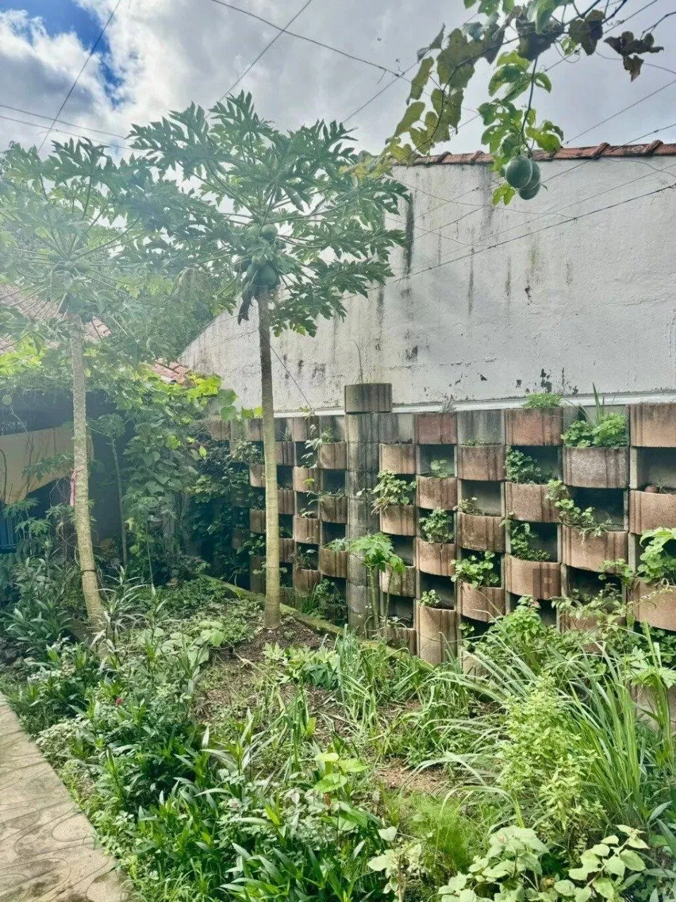 Imagem Casa em Ipanema